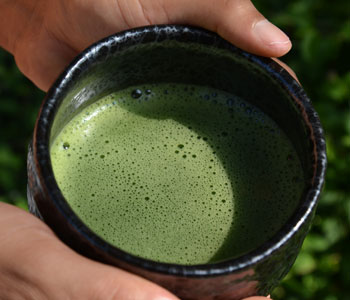 This is Matcha