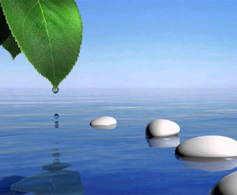 Reduce Mental Stress With Matcha