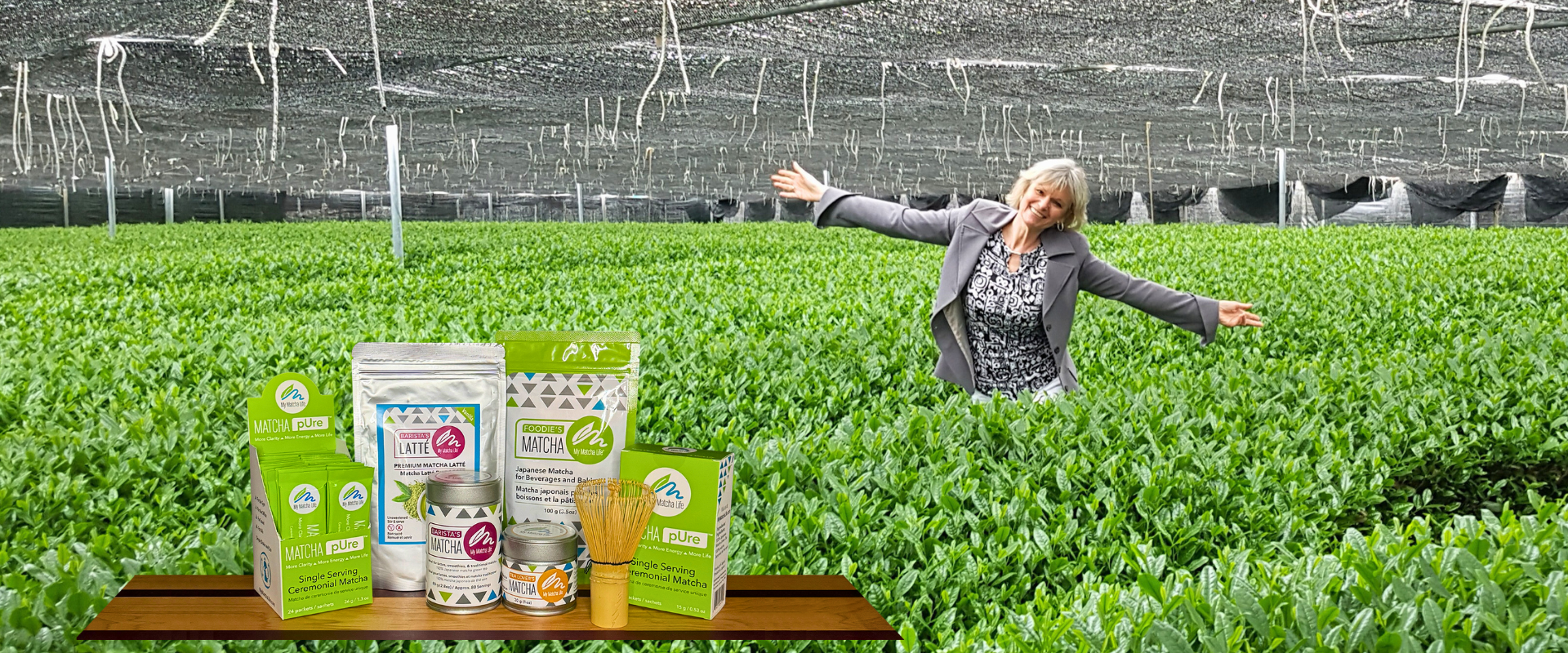 woman in japanese matcha tea field