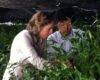 Calli and Japanese Tea Master handpicking matcha tea leaves